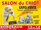 SALON DU CHIOT BORDEAUX 2013