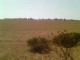 Terrain Agricole de 10H rég Sidi Rahal