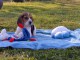 Bébés chiots beagle: 4 femelles et 2 mâles