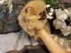 Adorables petits chiots spitz nain