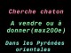 Cherche chaton à vendre ou donner 