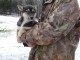 A donner femelle husky siberien