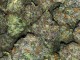  Marijuana (Californian buds)