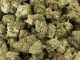 Marijuana (cannabis from California 