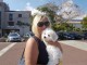 chiot bichon maltais     