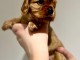 Chiots Cavalier King a donner contre bon soin