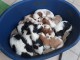  Adorables Chiots Cavalier King Charles Pure Race