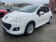 Peugeot 207 Active 98G 1.6 HDi 92 ch