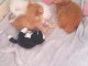Je donne mes jolies chatons
