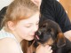 Donne chiot Berger allemand femelle