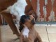 Je donnes chiot boxer femelle