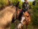 Donnes cheval hongre Quarter de 8 ans
