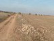 VENTE TERRAIN DE 5 HECTARES A SIDI RAHAL