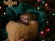 Adorables Singes capucins disponibles pour famille