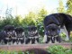 CHIOTS FINNOIS DE LAPONIE A RESERVER