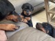 Chiots Dobermann Adoption