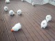 Mignons Chiots de racse Spitz disponible a donner
