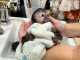 Bébé singe capucin a donner 
