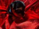chiot Yorkshire terrier mâle a donner 