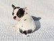 chiot chihuahua à adopter 