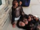 Singe capucin disponible immédiatement 