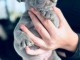 Chiots bouledogues Français disponible 