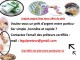  Info :  Offre de prêt entre particulier e
