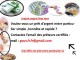Offre de prêt entre particulier sérieux et rapide en 72h ou 24 h 