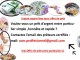  Bruxel.BE OFFRE DE PRËT ENTRE PARTICULIER, Par