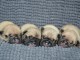 adoption chiot bouledogue français 