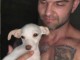 Chiot chihuahua à adopter dans une bonne maison