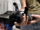 à adoption chiot bouledogue français mâle 