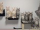 adoption chaton maine coon m&acirc;le et femelle 