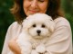 Belle petite femelle bichon maltais &agrave; donner 