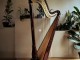 Harpe &agrave; p&eacute;dales 47 cordes Camac Ath&eacute;na TD Acajou neuf