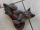Je donne mon chaton chartreux 