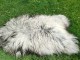 Peaux de mouton Heidschnucke, Premium