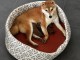 Annonces chiots shiba pour adoption 