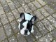 Dons chiots bouledogue fran&ccedil;ais m&acirc;le 