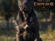 Cane Corso magnifique femelle 