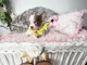 Je donner chiot chihuahua femelle 